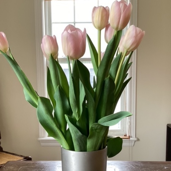 Joy to be here with you! - Picture 2 of 2